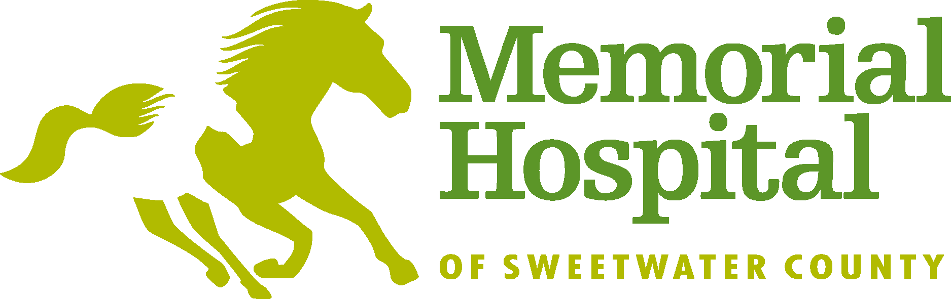 Memorial Hospital Logo Vector Logo